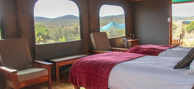 Buffelsdrift Game Lodge