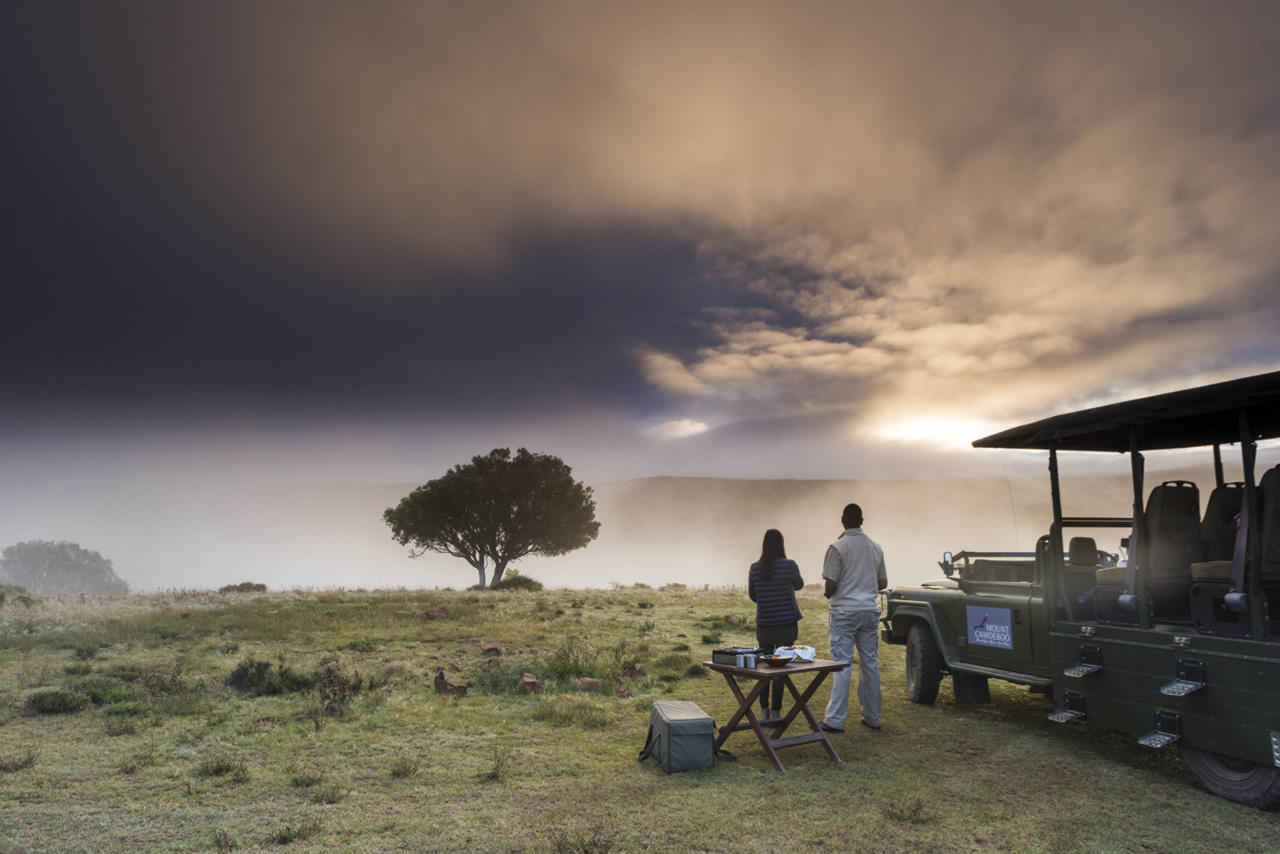 Mount Camdeboo Private Game Reserve | Graaff-Reinet | Eastern Cape Reservations