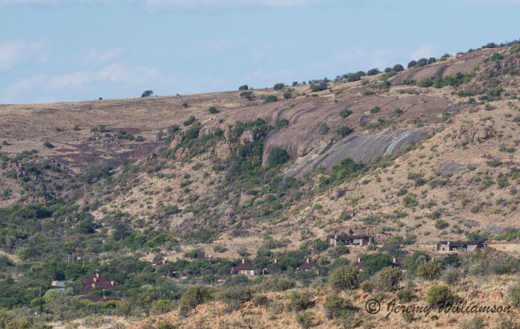 Mountain Zebra National Park